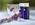 PHARMACIE SOLEIL, SAINT PRIEST, PRISE DE TENSION, CONTROLE DIABETE, HOSPITALISATION A DOMICILE, PRODUITS NATURELS, HOMEOPATHIE,COSMETOLOGIE